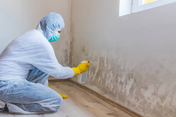 Crawl Space Mold Removal in Clemson University, SC