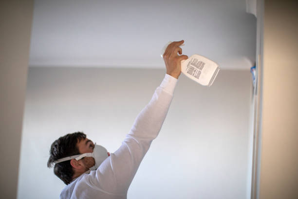Reliable Clemson University, SC Mold Removal Solutions