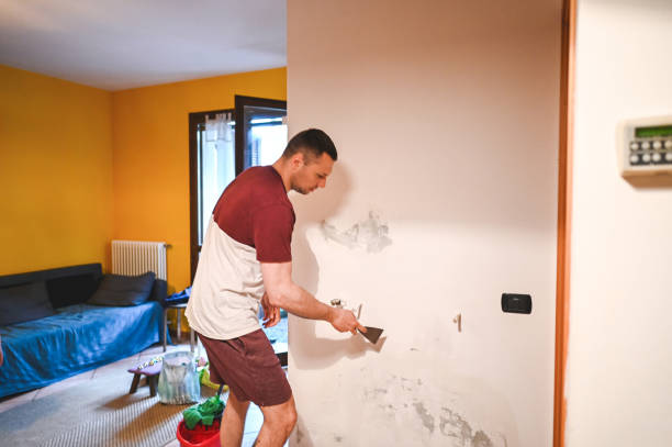 Best Commercial Mold Removal  in Clemson University, SC